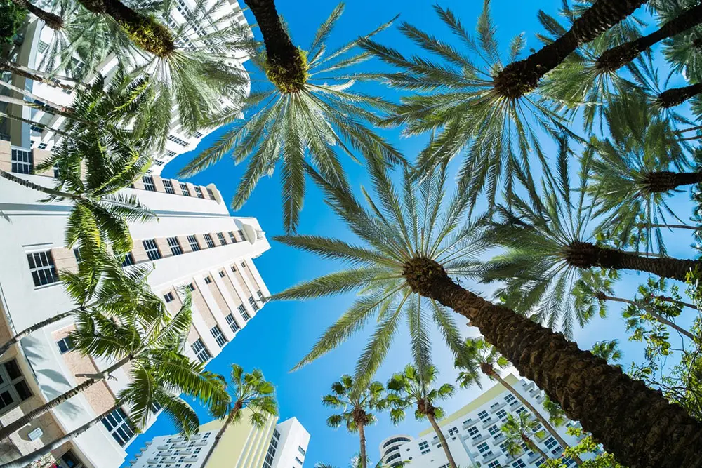 Lake Worth Personal Injury Lawyers